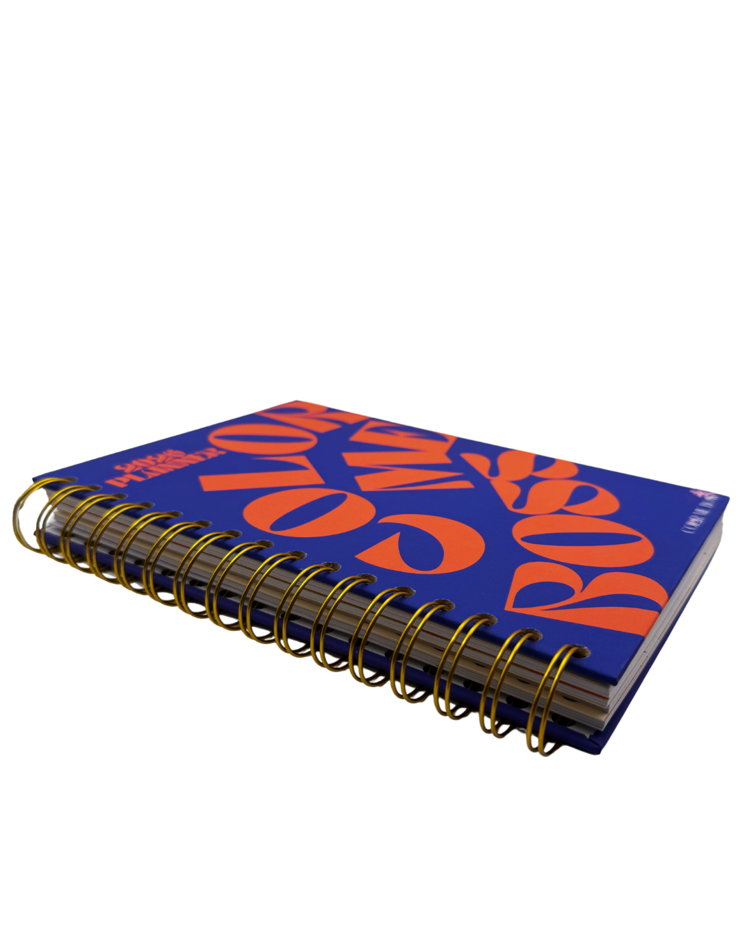 2026 Color Me Boss Daily Planner