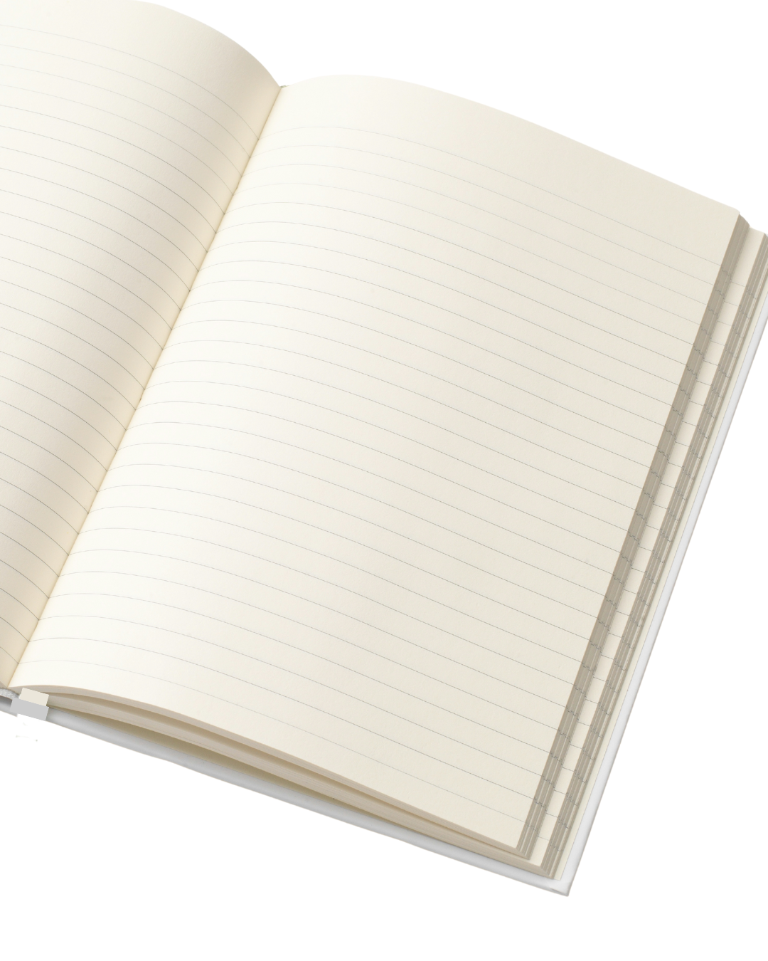 Luxe Cheetah Print Notebook