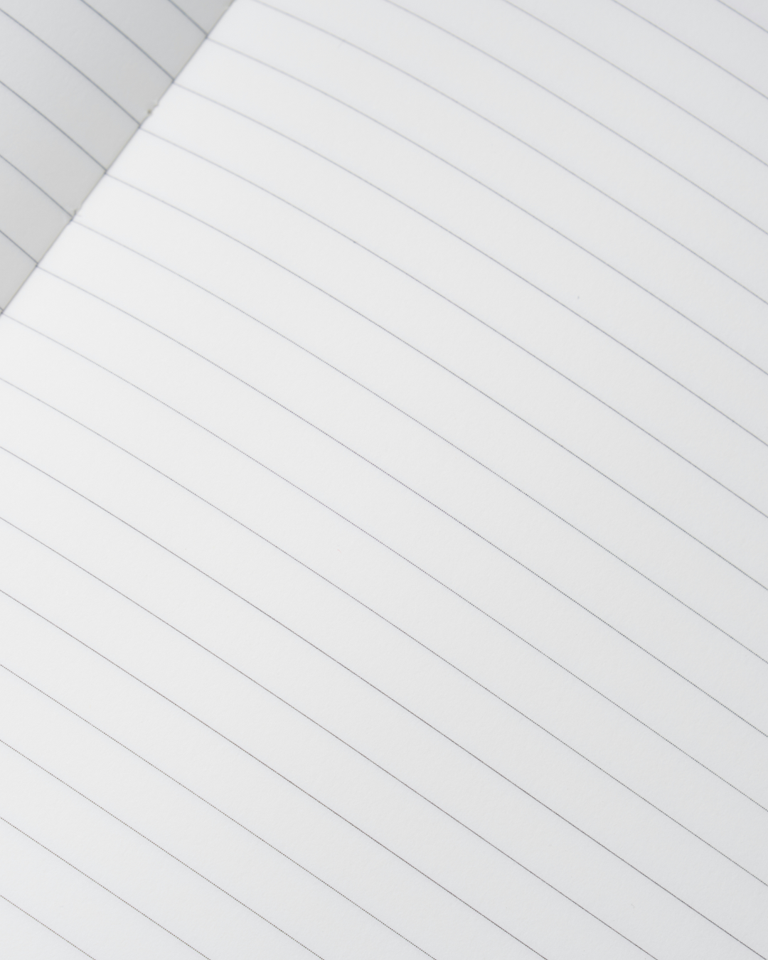 Luxe Cheetah Print Notebook