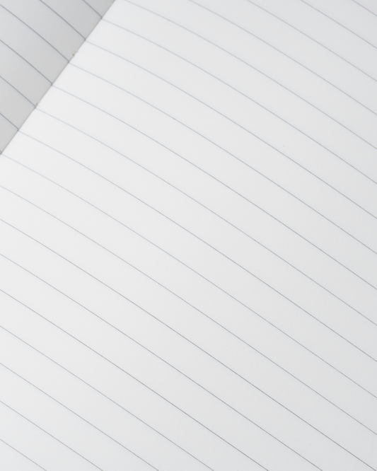 Luxe Cheetah Print Notebook